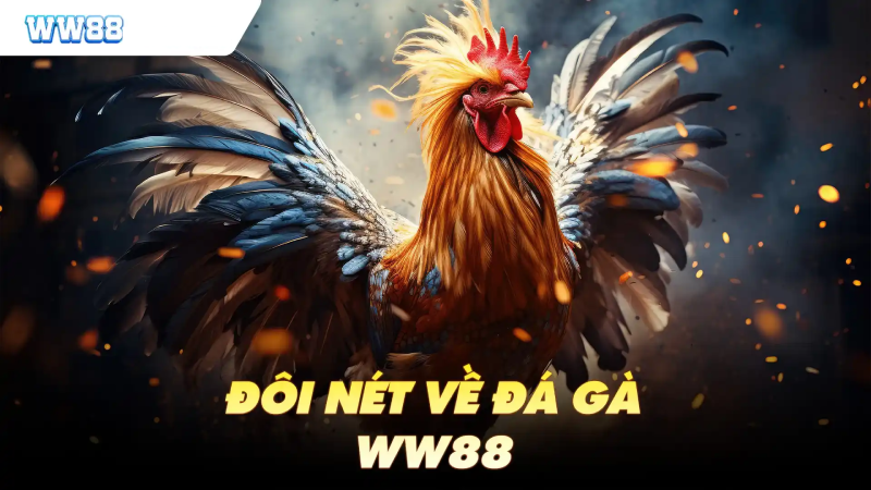 Thuật ngữ trong game đá gà WW88